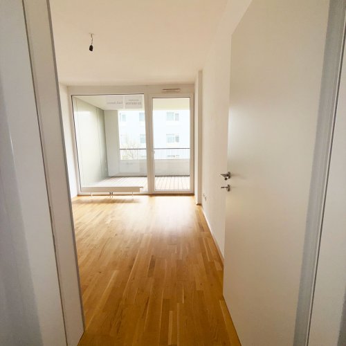 Wohnung in Wels
